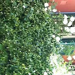 Emi's B&B